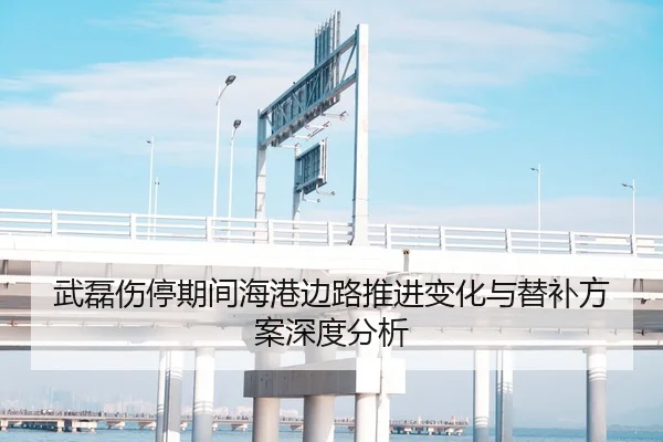 武磊伤停期间海港边路推进变化与替补方案深度分析